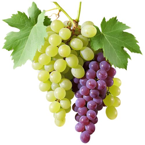 Grapes